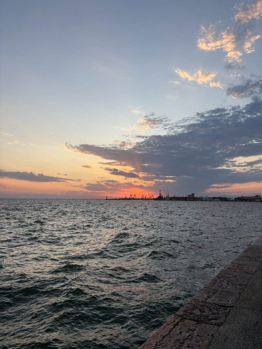 T. Exadaktylos tweet media