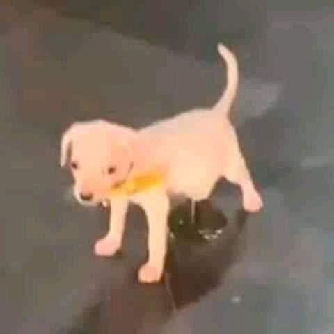 Se me hace tan extraño hablar con hombres heterosexuales y que me digan Ike "rey" "mi Bro"