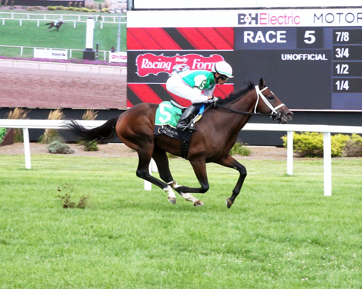 John G. Dooley (@johngdooley) on Twitter photo GLOBAL ASSET (Street Sense o/o Medaglia dāOro mare), at 2nd asking over C&D, as <a href="/jockeypedrozajr/">Marcelino Pedroza Jr.</a> pleased in Maiden Turf Mile <a href="/HSIndyRacing/">Horseshoe Indianapolis Race Course</a> on Monday for <a href="/JuddmonteFarms/">Juddmonte</a> and <a href="/bradcoxracing/">Brad H. Cox Racing</a> as 3/5F in 1:36.31 (Good 24ā). The colt was 2nd on IND debut to NATURAL RIGHTS at 10/1. GLOBAL ASSET (Street Sense o/o Medaglia dāOro mare), at 2nd asking over C&D, as <a href="/jockeypedrozajr/">Marcelino Pedroza Jr.</a> pleased in Maiden Turf Mile <a href="/HSIndyRacing/">Horseshoe Indianapolis Race Course</a> on Monday for <a href="/JuddmonteFarms/">Juddmonte</a> and <a href="/bradcoxracing/">Brad H. Cox Racing</a> as 3/5F in 1:36.31 (Good 24ā). The colt was 2nd on IND debut to NATURAL RIGHTS at 10/1.