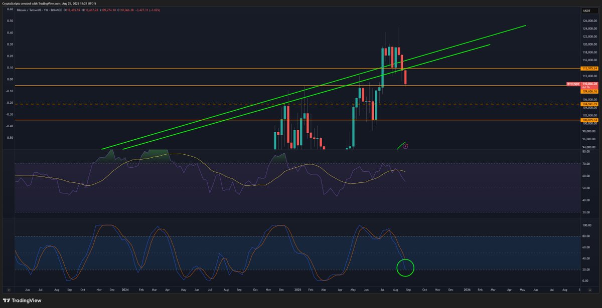 CryptoData tweet media