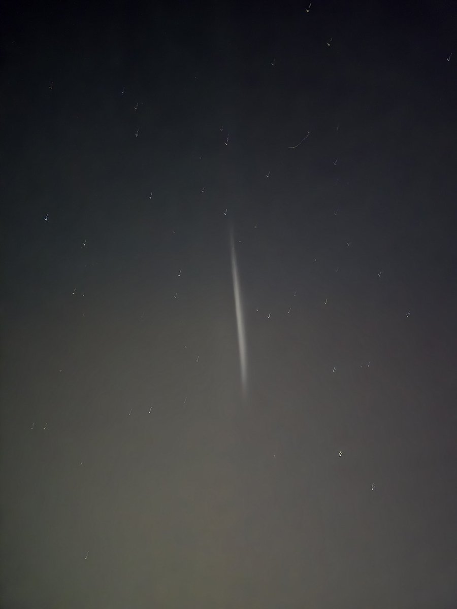 Rory Steel tweet media