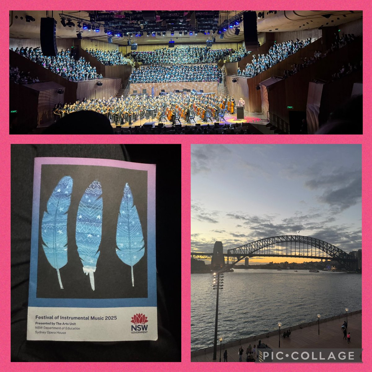 A R Pitt tweet media