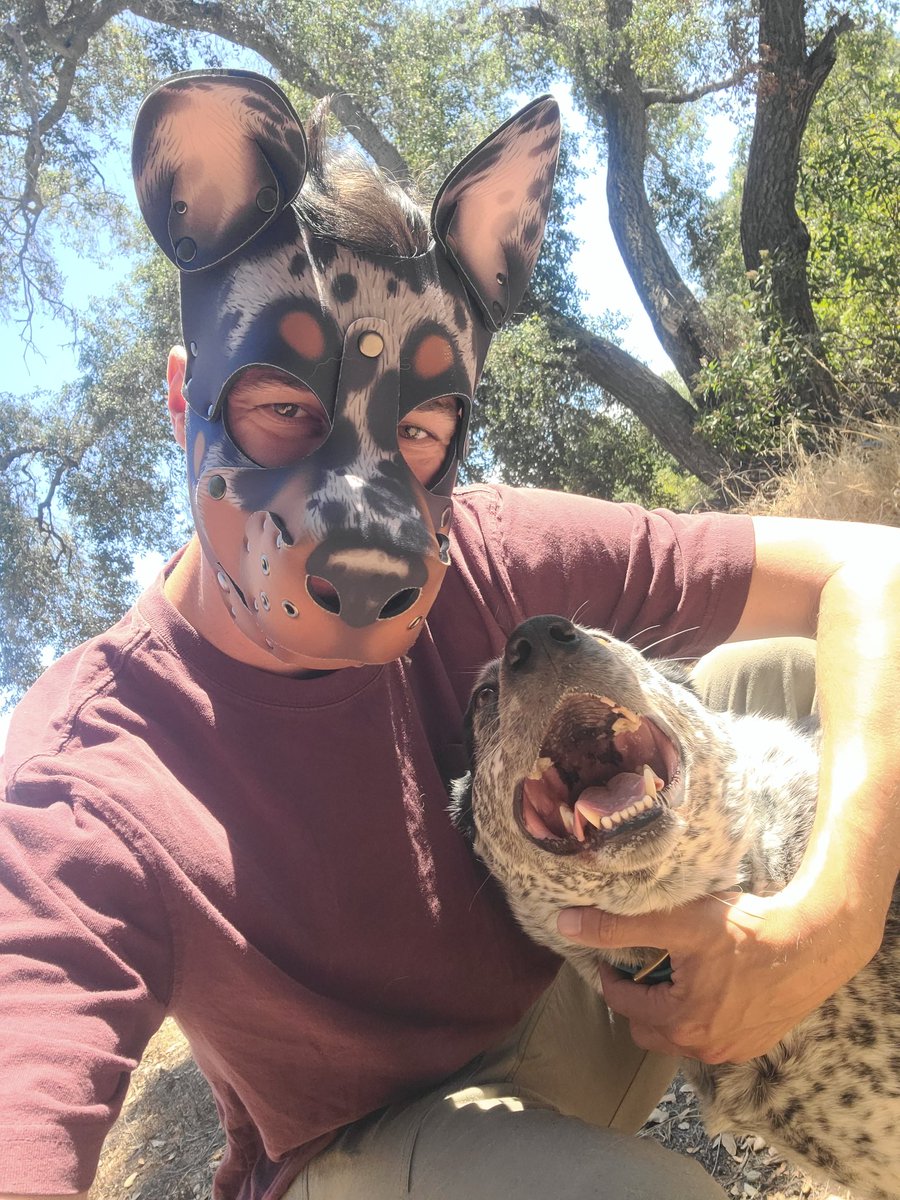 Two Morbid Muttz 🔜 MP tweet media