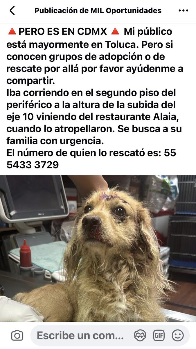 ATENCIÓN CDMX, fue atropellado en Periferico y EJE10, lo rescataron herido, se busca a familia