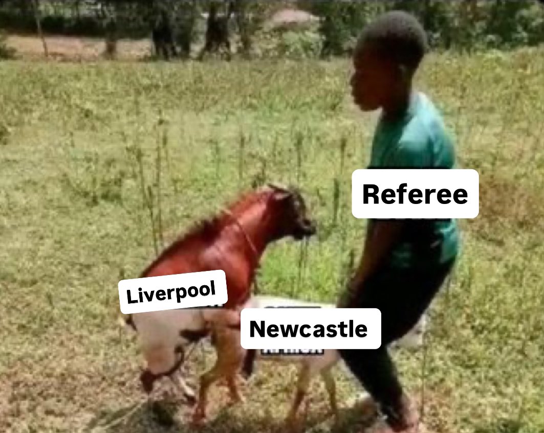 Liverpool,Newcastle and Referee in a match together 😂