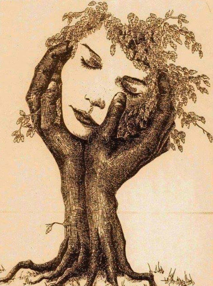 Son zamanlarda duyduğum en güzel cümle :
.
"İnsana rast gelesin..."...