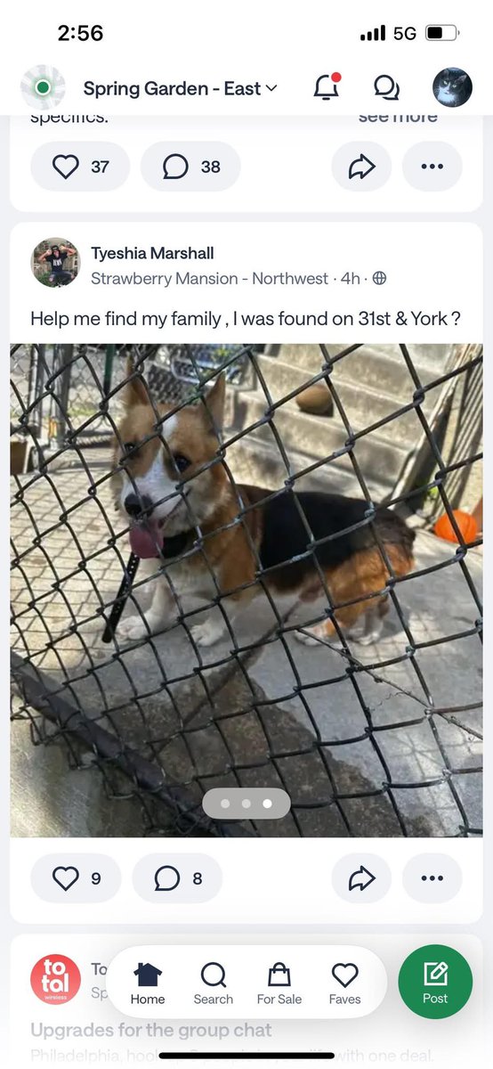 <a href="/Jalon323/">Jalon Alexander</a> Someone in the Philaqueens FB group posted this from Nextdoor if you’re on that platform