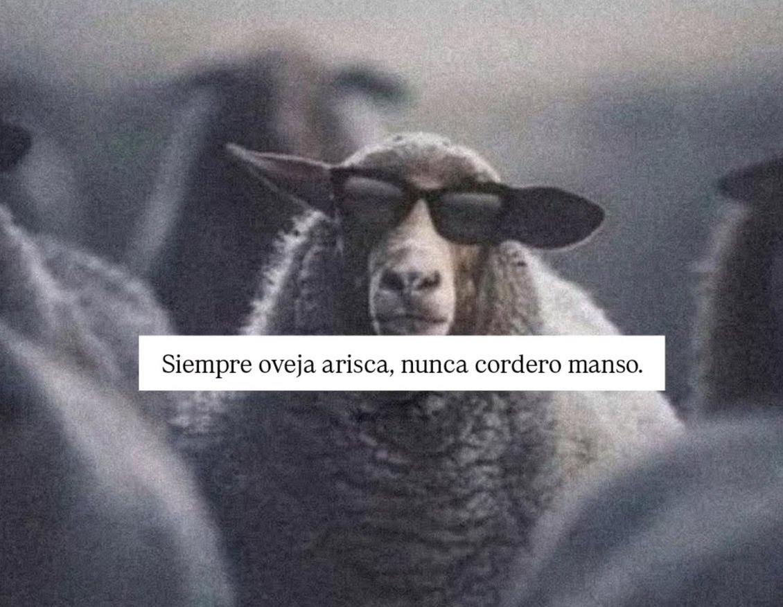 Feliz inicio de semana ! 
😄☀️📚☎️📞🦉🩷
Como dijo el caudillo Emiliano Zapata 
“Prefiero morir de pie que vivir arrodillado” 

Me acordé por esta reflexión, se parece 😝