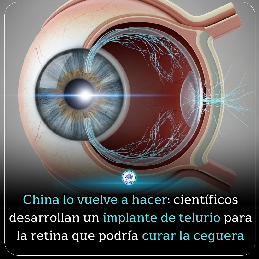 Enséñame de Ciencia (@ensedeciencia) on Twitter photo 