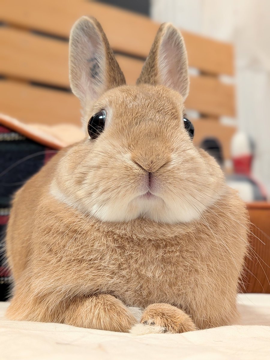 いっぱいかわいいといわれたから、じしんがみなぎっています✨