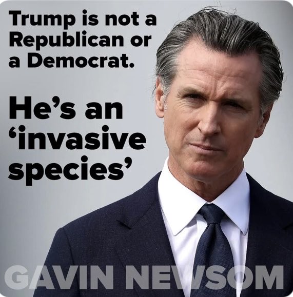 Gavin is one hell of a Troller! 😂😂😂