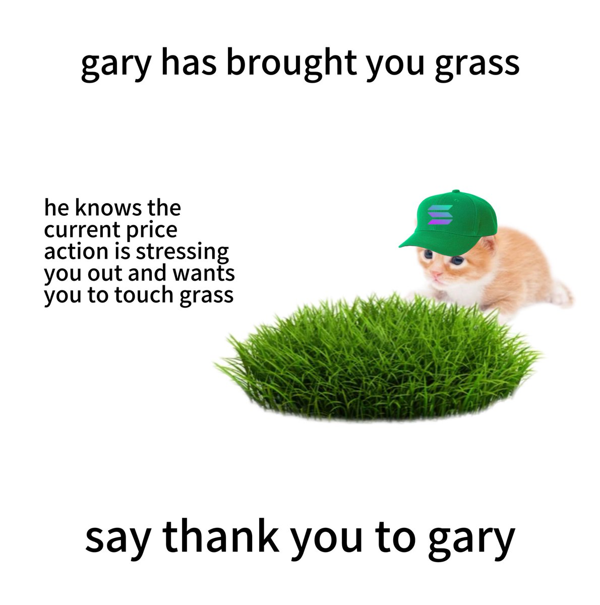 say thank you to $gary 🌾