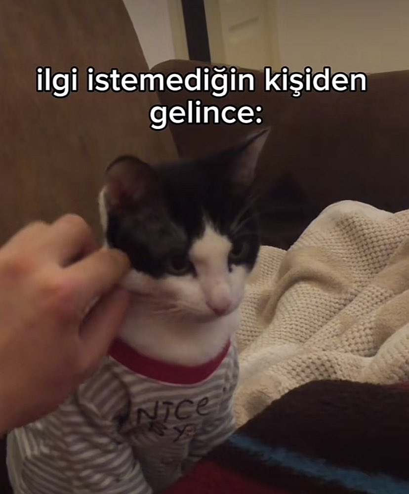 Alya (@alyareckles) on Twitter photo 