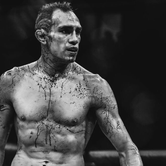 برأيك من المقاتل الذي دمر فيرغسون ?