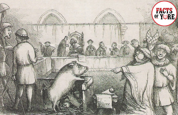 factsofyore's tweet image. 1/7 In Falaise, France in 1386 the trial and execution of a pig was one of the most famous examples of a practice known as animal trials. Pigs were often allowed to roam freely, especially in rural towns which could lead to dangerous encounters.

#FunFacts #PigTrial 🧵⏬
