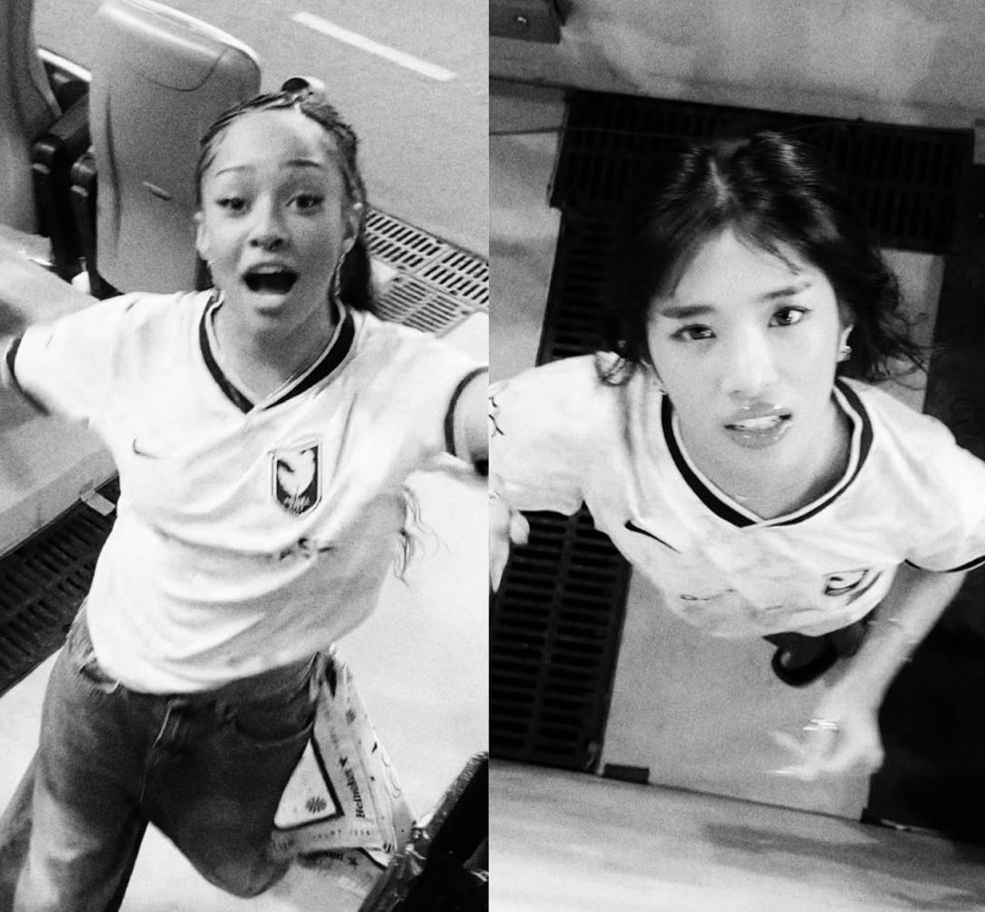 bugs when you lift up a rock