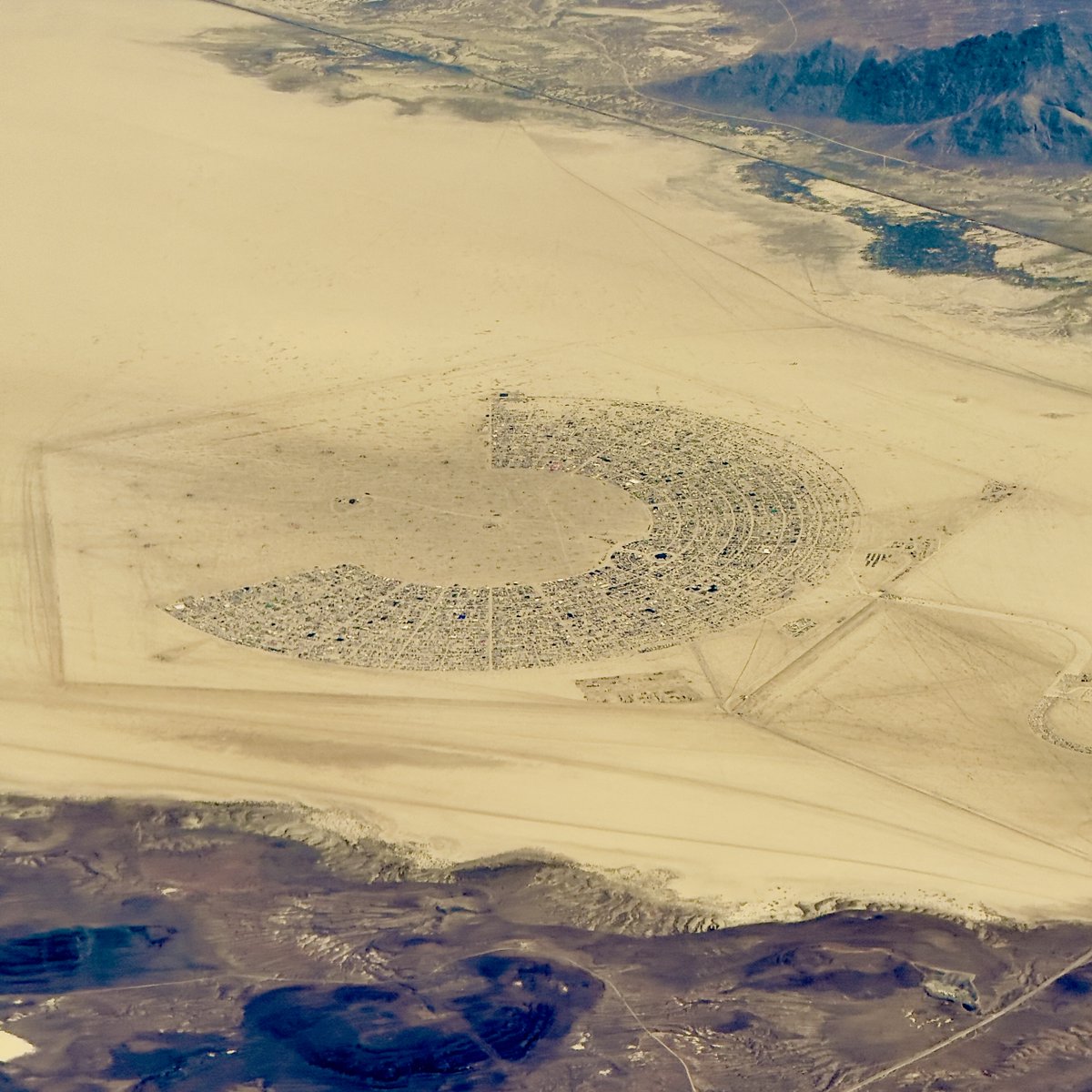 Scott Stanfield 🇺🇸🧢🌻 tweet media