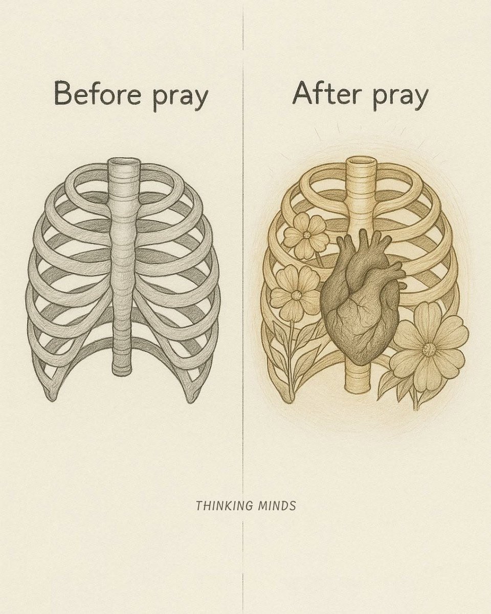 Mind Essentials (@mind_essentials) on Twitter photo 