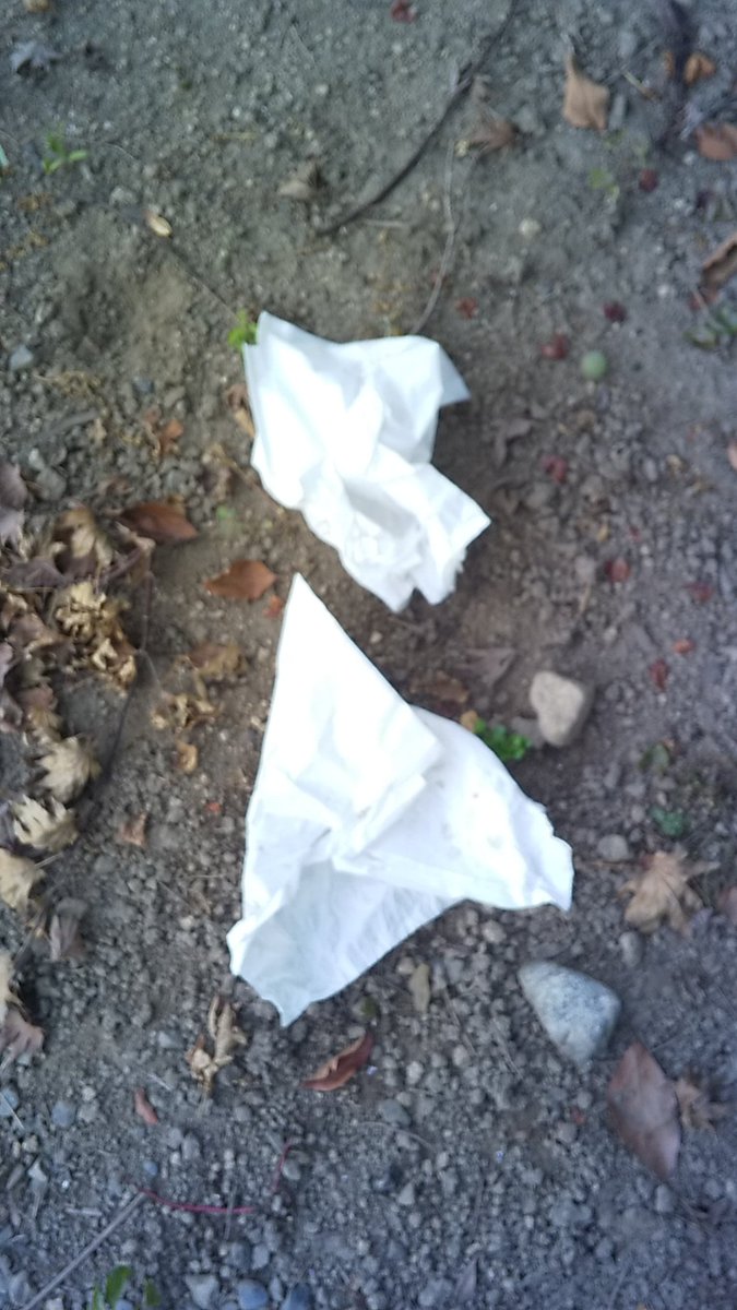 おはようございます‼️

昨夜、ブドウ🍇の盗難被害にあった❗️

こんな田舎でも盗む奴がいるんだ～😵
丹精込めて作ったのに。