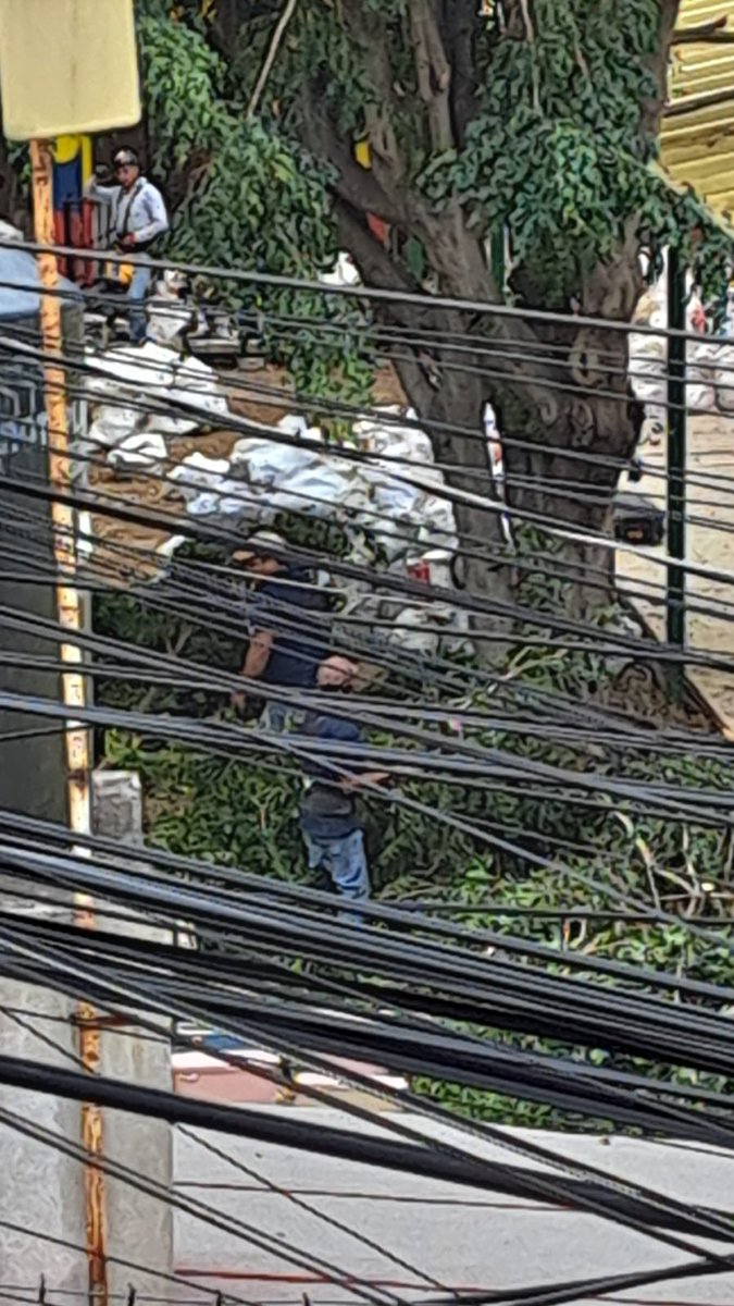 LDexoco's tweet image. San Felipe 36 (Ludoteca Canica de la @SEP_mx ) en Xoco están derribando árboles saludables ¿Cómo puede ser que la SEP (gobierno) se porta peor o igual que los privados que alguna vez tuvo que multar por los mismos delitos contra el medioambiente y la comunidad de Xoco?