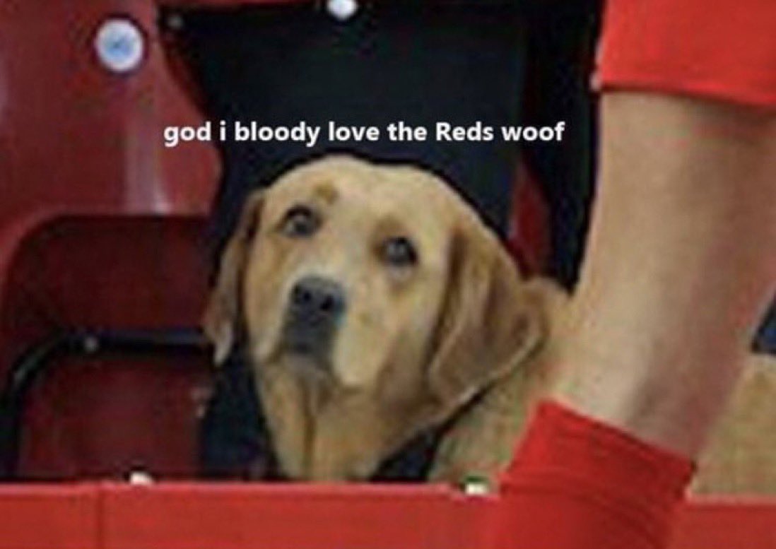 🌚 (@potnoodiefringe) on Twitter photo 