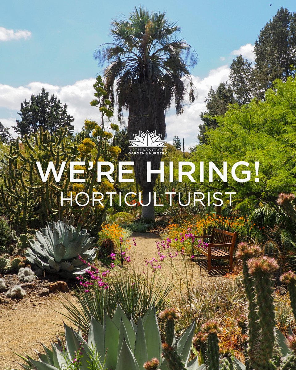 The Ruth Bancroft Garden is hiring! We're seeking a passionate and knowledgeable Horticulturist/Gardener to join our team. This role is essential for the care, maintenance, and cultivation of the Garden's plant collection. 

Learn more on our website: ruthbancroftgarden.org/horticulturist…