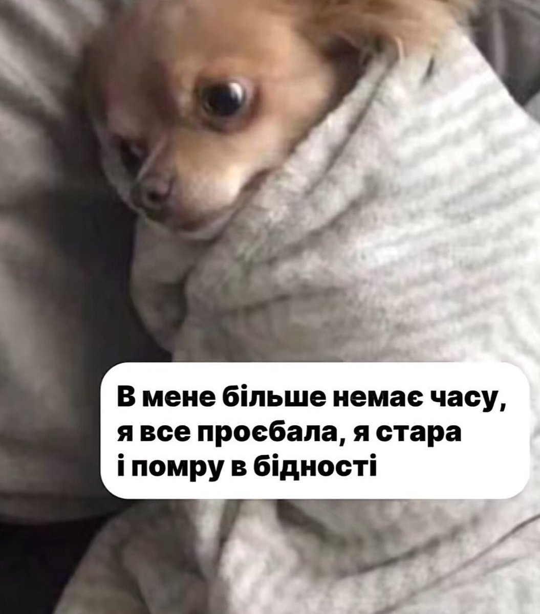 Дар'я, а не Дарина tweet media