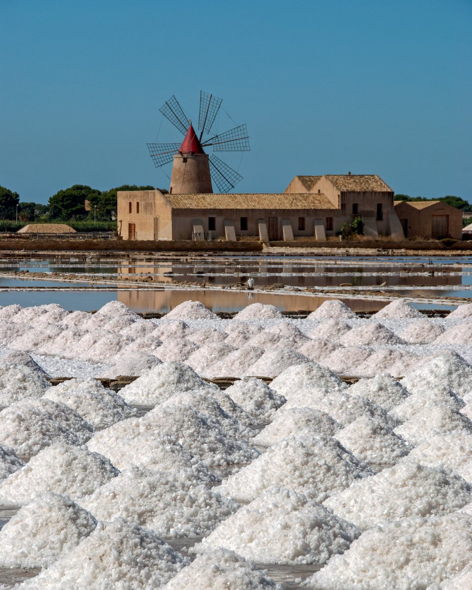 Pure Sicily tweet media