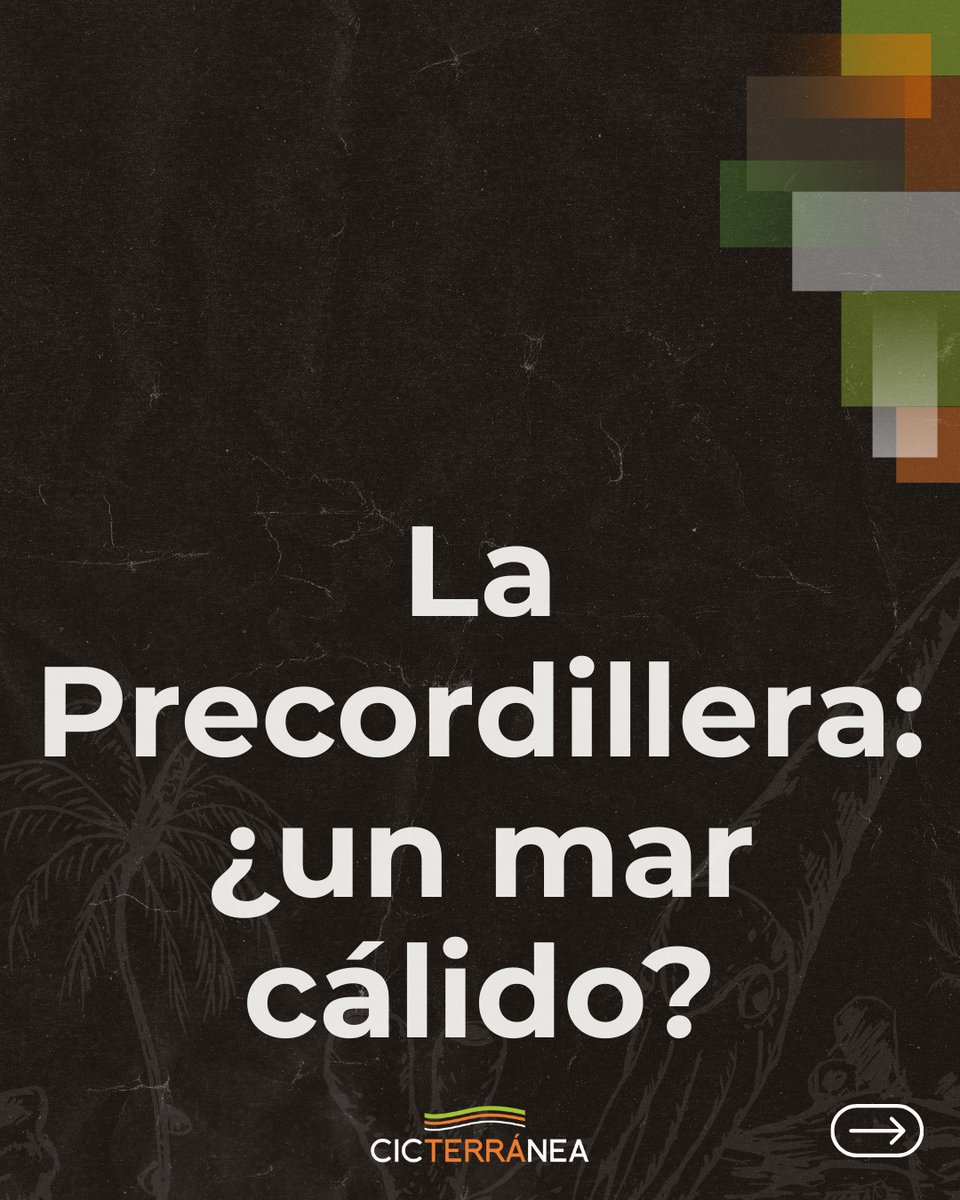 CICTERRÁNEA tweet media