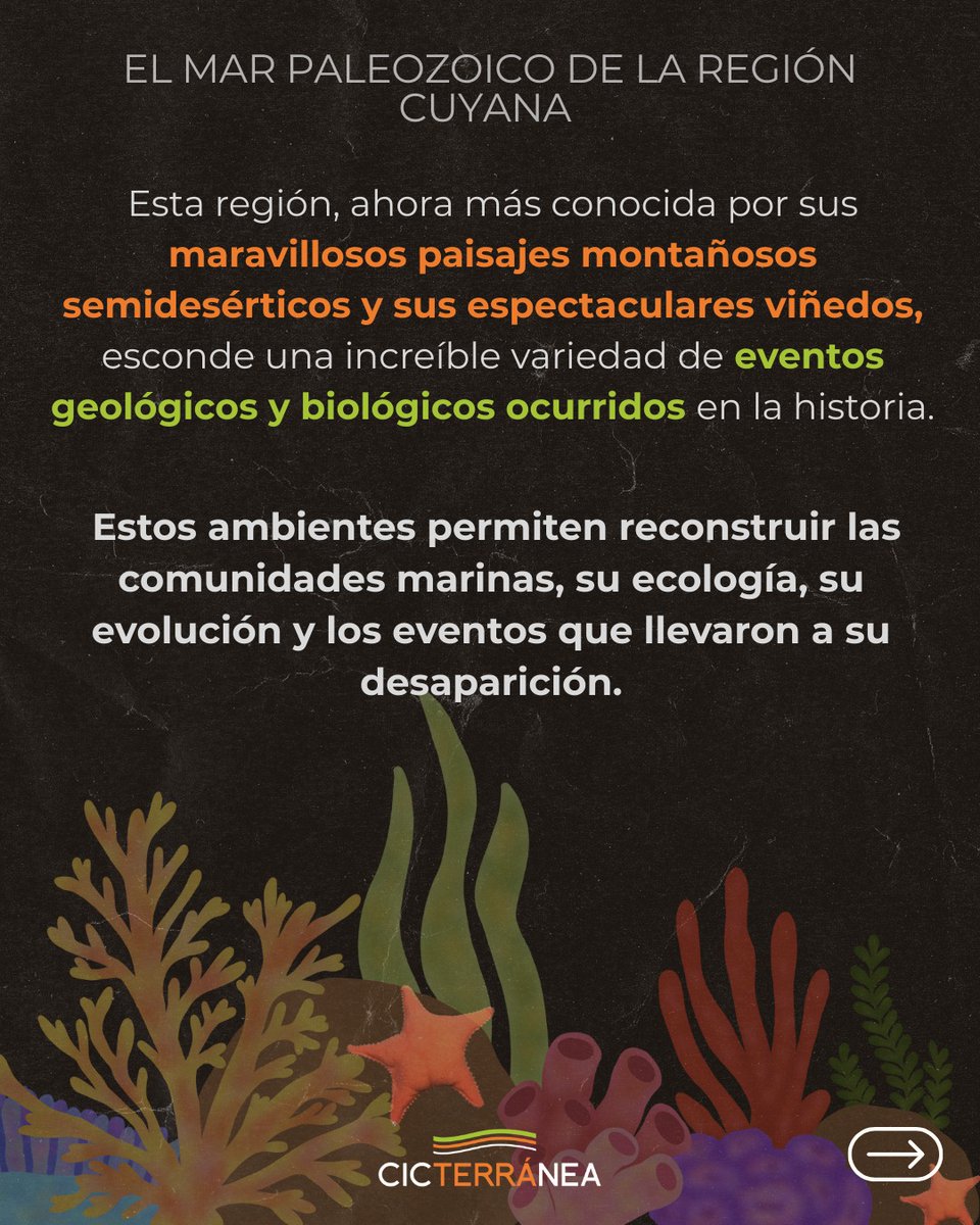 CICTERRÁNEA tweet media