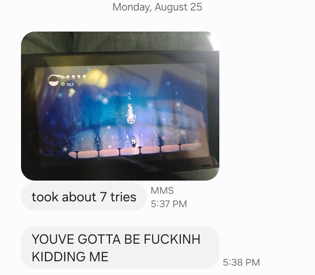 Sister is playing hollow knight for the first time and she just texted me this