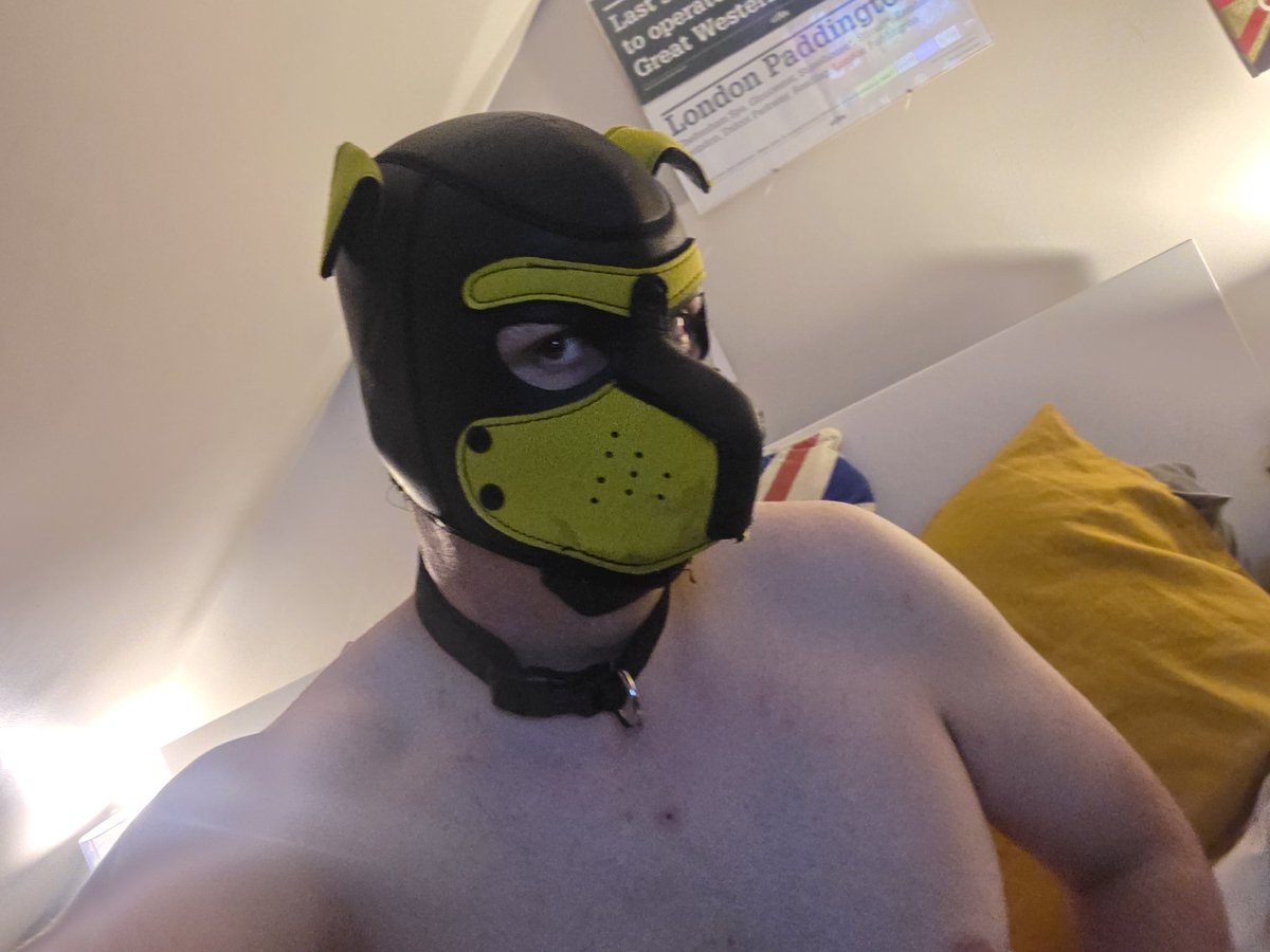 bigyellowfluff's tweet photo. Hmmm doggy is ready for walkies ^^

Arf xx

#humanpup #pupplay #puphood #LGBTQI https://t.co/V9XeabAGlp