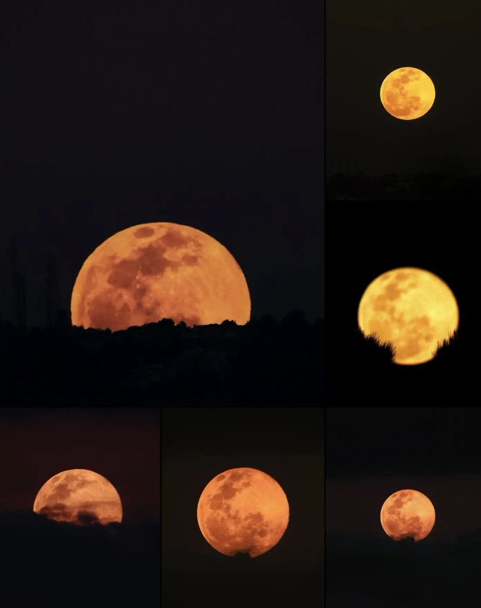 amante de la luna