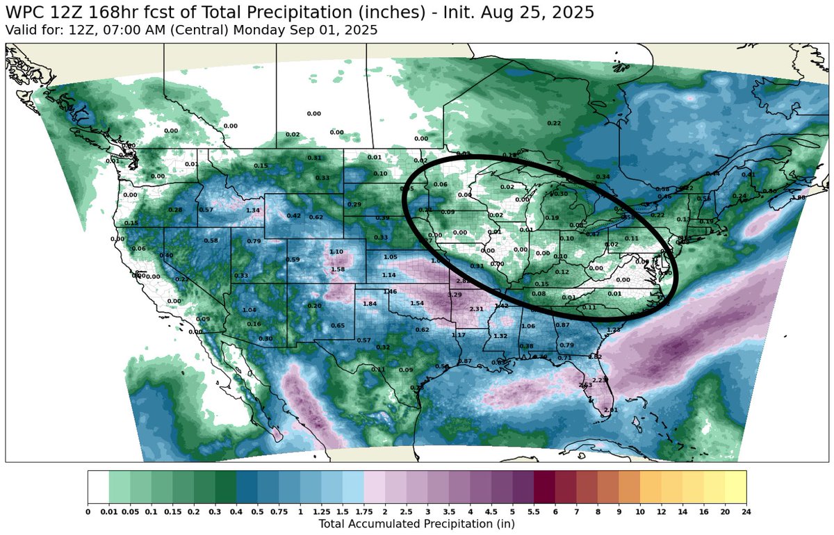 We’ve seen one of the driest August’s on record. Especially for the eastern corn belt

Forecasts through the end of the month also offers zero rain for same areas

I don’t know about you.. but this sure doesn’t scream crops are getting bigger

Soybeans are made in August. August