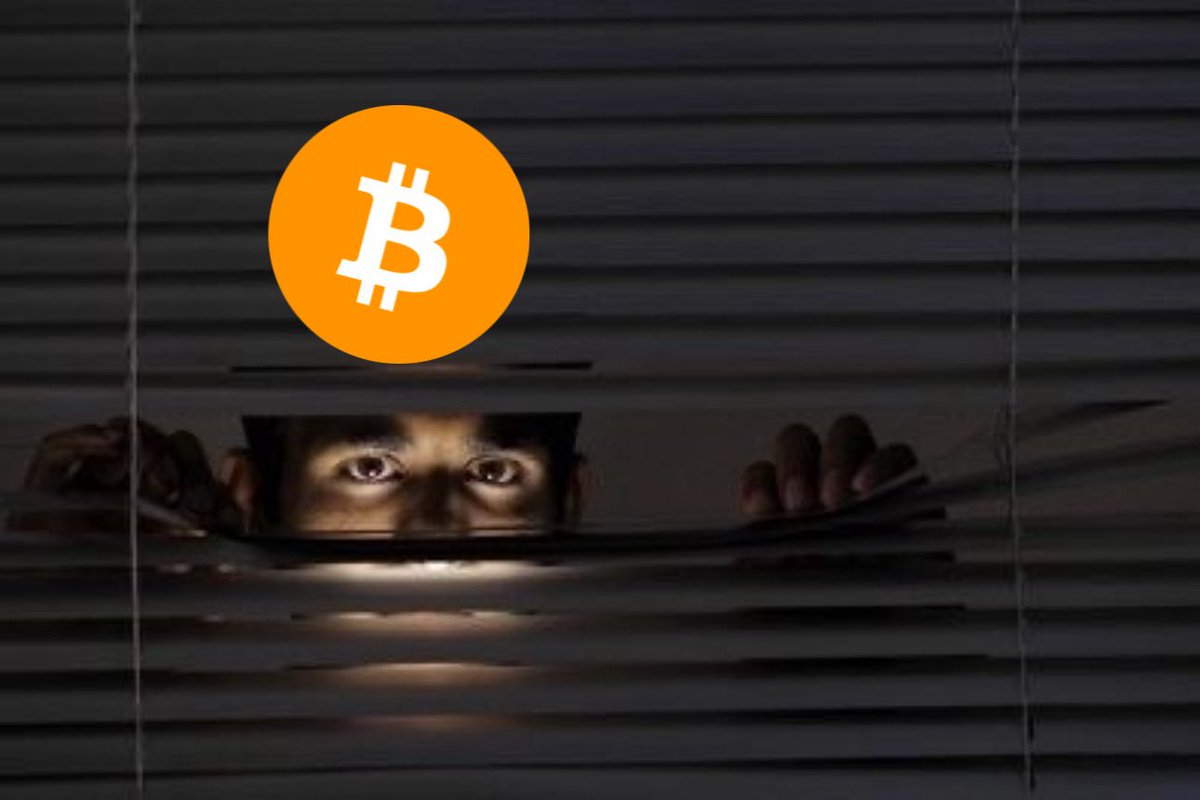 slowlikebtc's tweet image. a $SLOW bitcoin maxi looking outside from his window rn