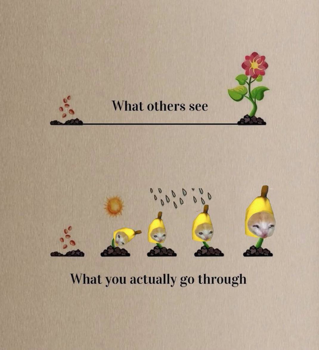 JBrain (@jbrain58) on Twitter photo If you're scared say you're scared. This market isn't for the faint of heart. You gotta have balls of steel. Can you stomach it? Can you fight off your emotions?
Know what you hold.
Comfortable.
$BCAT
<a href="/bananacat_erc20/">Banana Cat ๐๐ฑ</a> If you're scared say you're scared. This market isn't for the faint of heart. You gotta have balls of steel. Can you stomach it? Can you fight off your emotions?
Know what you hold.
Comfortable.
$BCAT
<a href="/bananacat_erc20/">Banana Cat ๐๐ฑ</a>