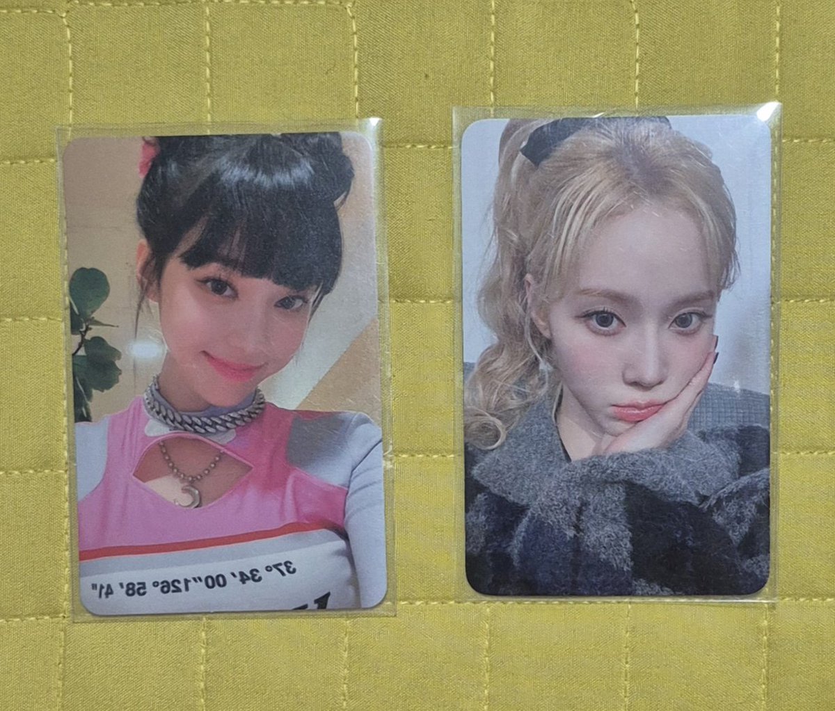 dalgummy tweet media