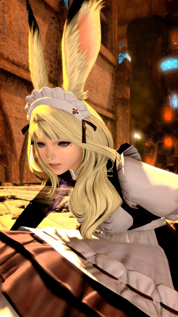 ✲ﾟ*•(*･ω･*)おはようございます❣

今日も元気に頑張っていきましょーね𓃺𓈒𓏸

#FF14
#おはウサ🐰
#ヴィエラ