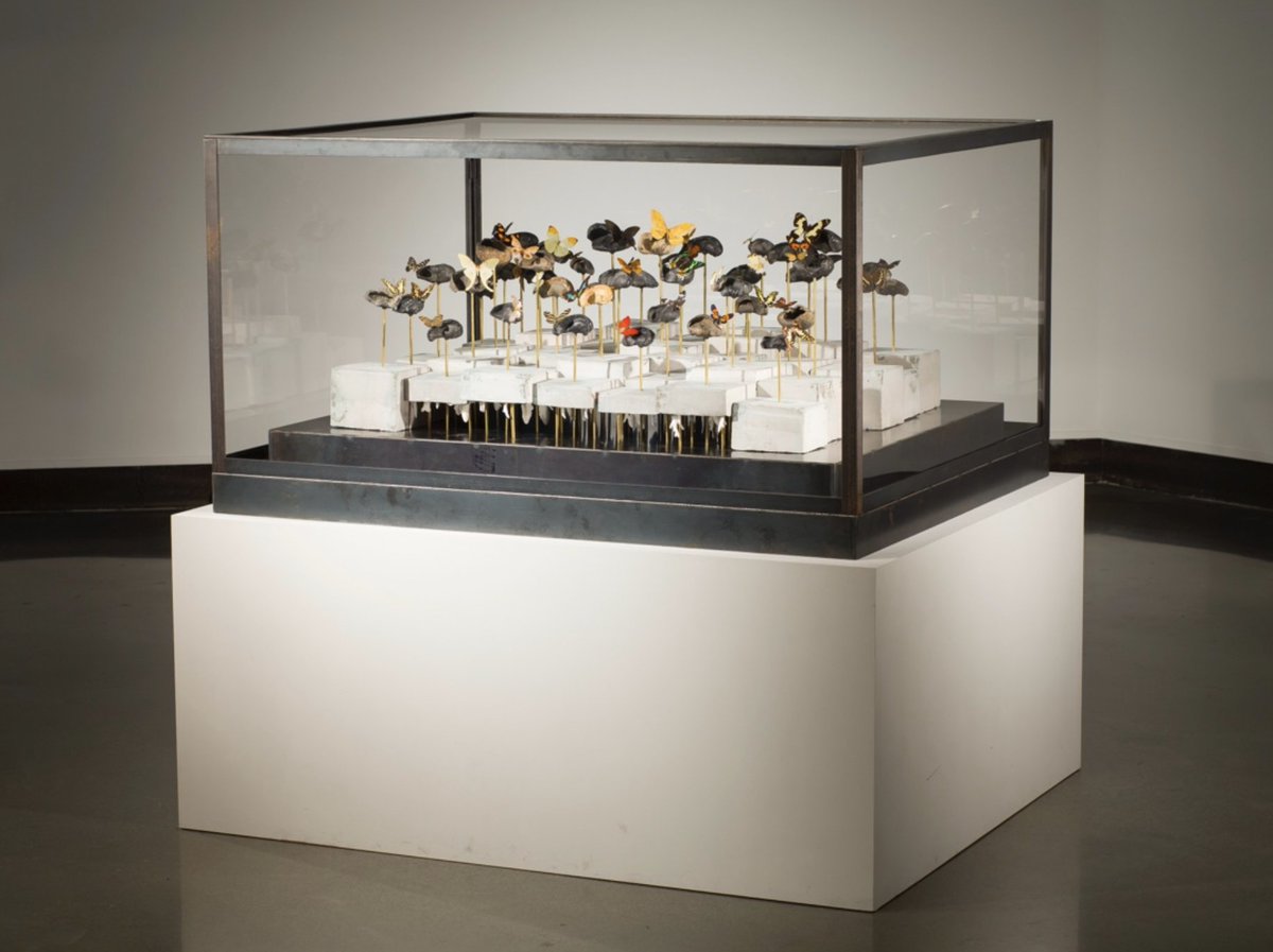 Upcoming Exhibition: "If You Remember, I'll Remember" by Dario Robleto, 2025 Texas Artist of the Year - mailchi.mp/artleaguehoust…