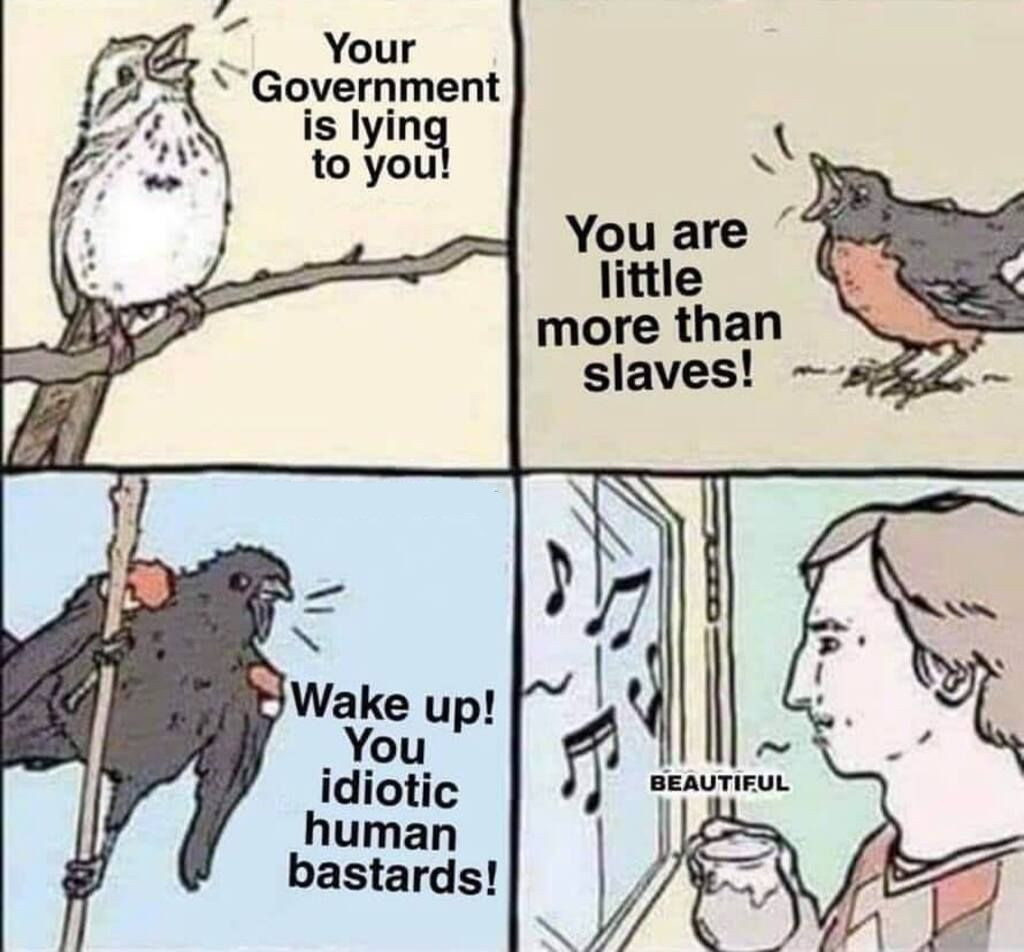 redpillbot (@redpillb0t) on Twitter photo 