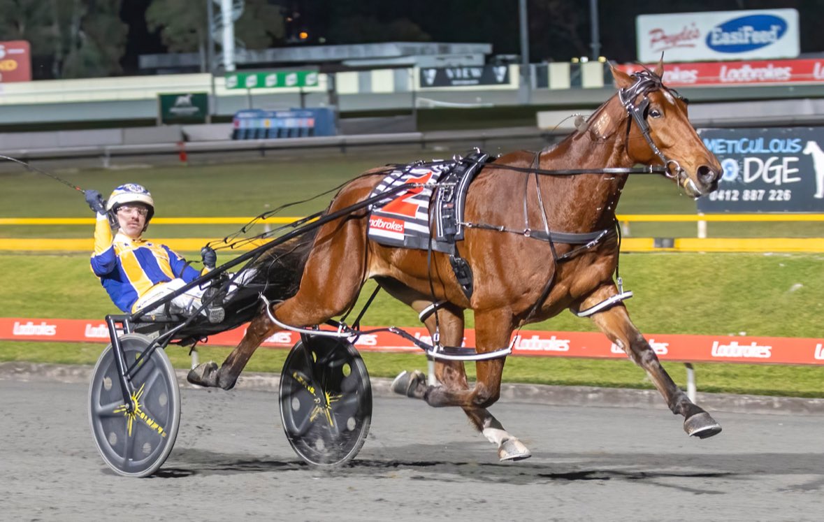 Well here’s a huge and exciting twist … Swayzee not only trials tomorrow but will then be a surprise runner in Saturday week’s Gp1 Len Smith Mile <a href="/ClubMenangle/">Club Menangle</a> <a href="/HRNSW_Harness/">Harness Racing NSW</a> <a href="/HarnessRacingNZ/">Harness Racing NZ</a> 
Pic: <a href="/DanRacingWrap/">Dan Costello</a>