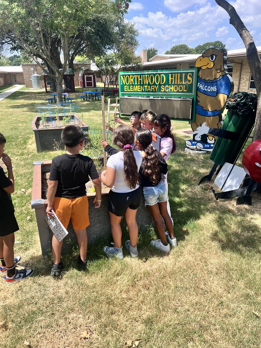 🌱✨Our students put their measuring skills to work as little “garden scientists.” They were busy turning #’s into discoveries. It’s amazing (and adorable!) to see them connect what they’re learning in math class to the real world right here on our campus. #LevelUpNHE 💚💙