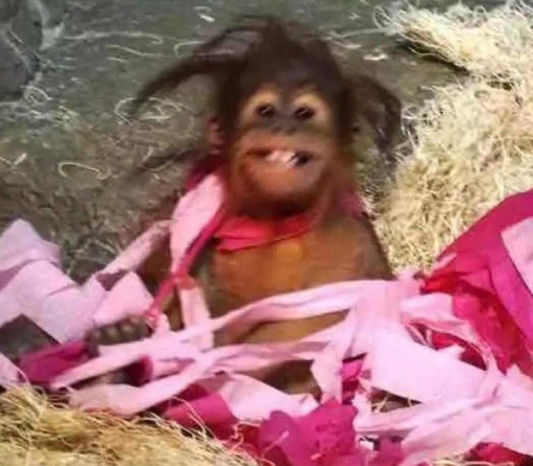 نمت بدري عشان اظبط نومي فصحيت دلوقتي