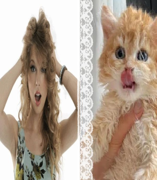 Esportes da Sorte tweet media