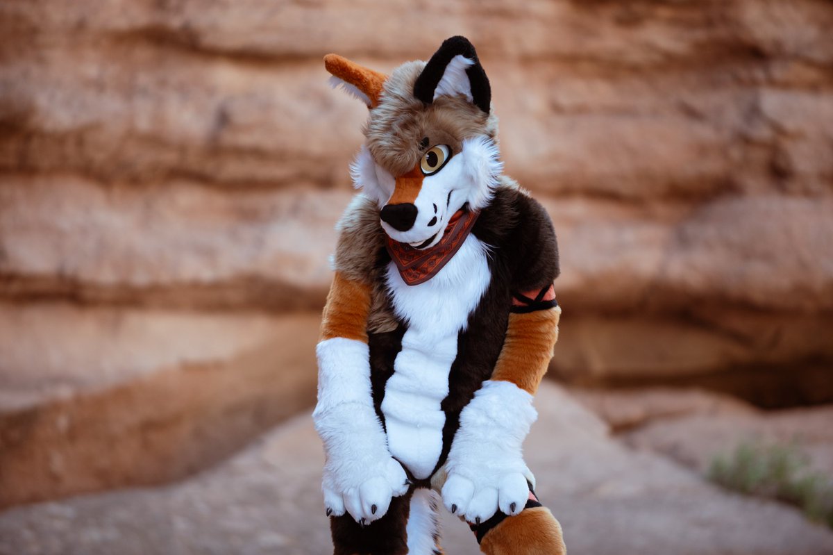 Showing off my new fur this Denfur! Who am I gonna see?

📸: <a href="/Tyler_TheFox/">Tyler 🦊 🔜 Your MP Bed</a>
🧵: <a href="/RumWolf/">Rum Wolf</a>