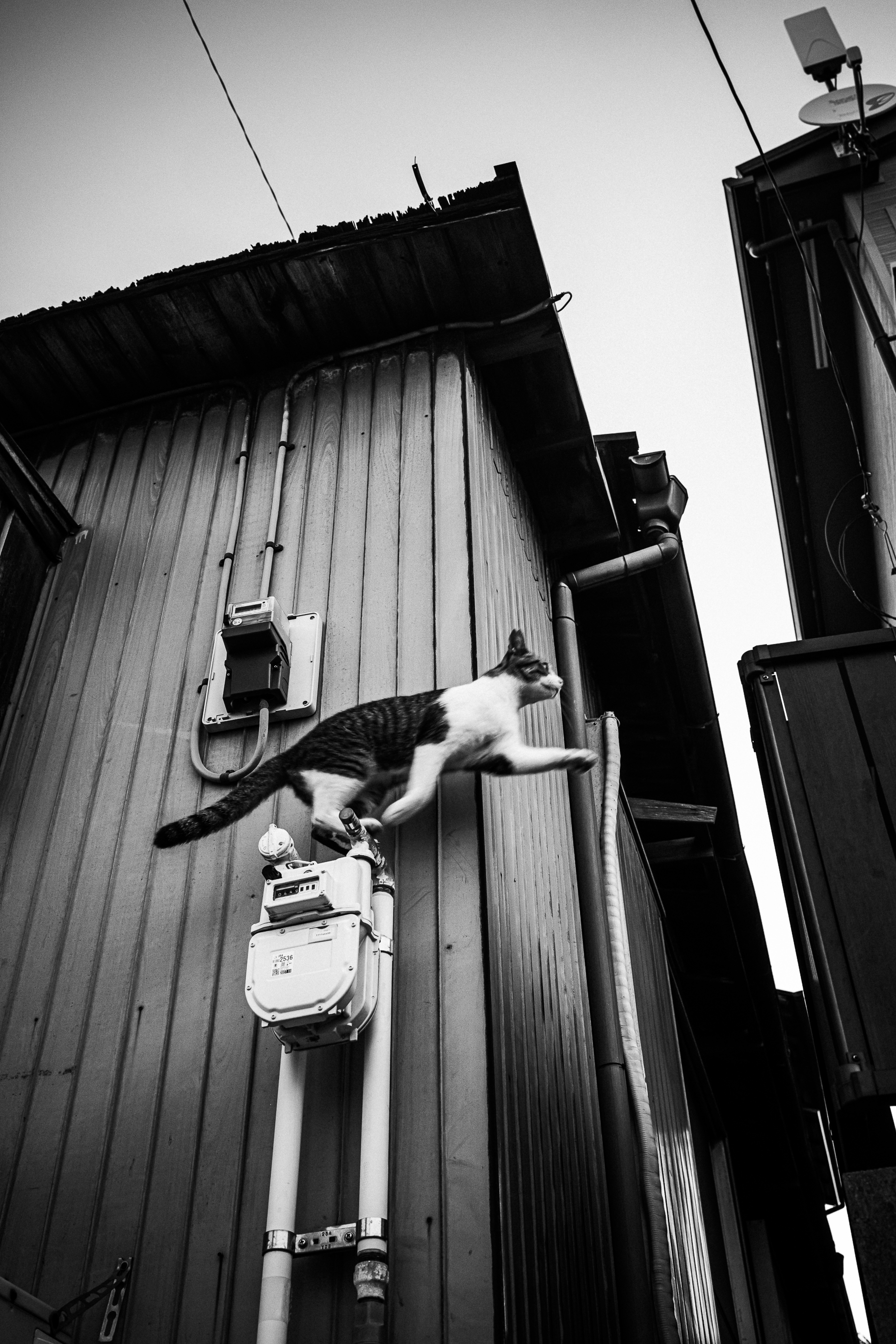 かずりん かずりん📸 (@kazrin_tw) / X