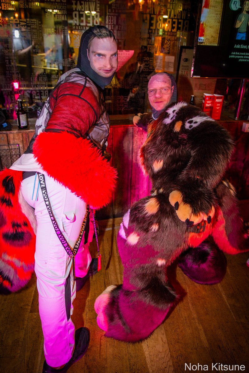 Hey yooooo…. We cool right?
2nd pic for distraction!
<a href="/KodaYeen/">Dawn</a> 
.
#fursuiter #furry #fullsuiter #ukfurry #furryuk #furryfandom