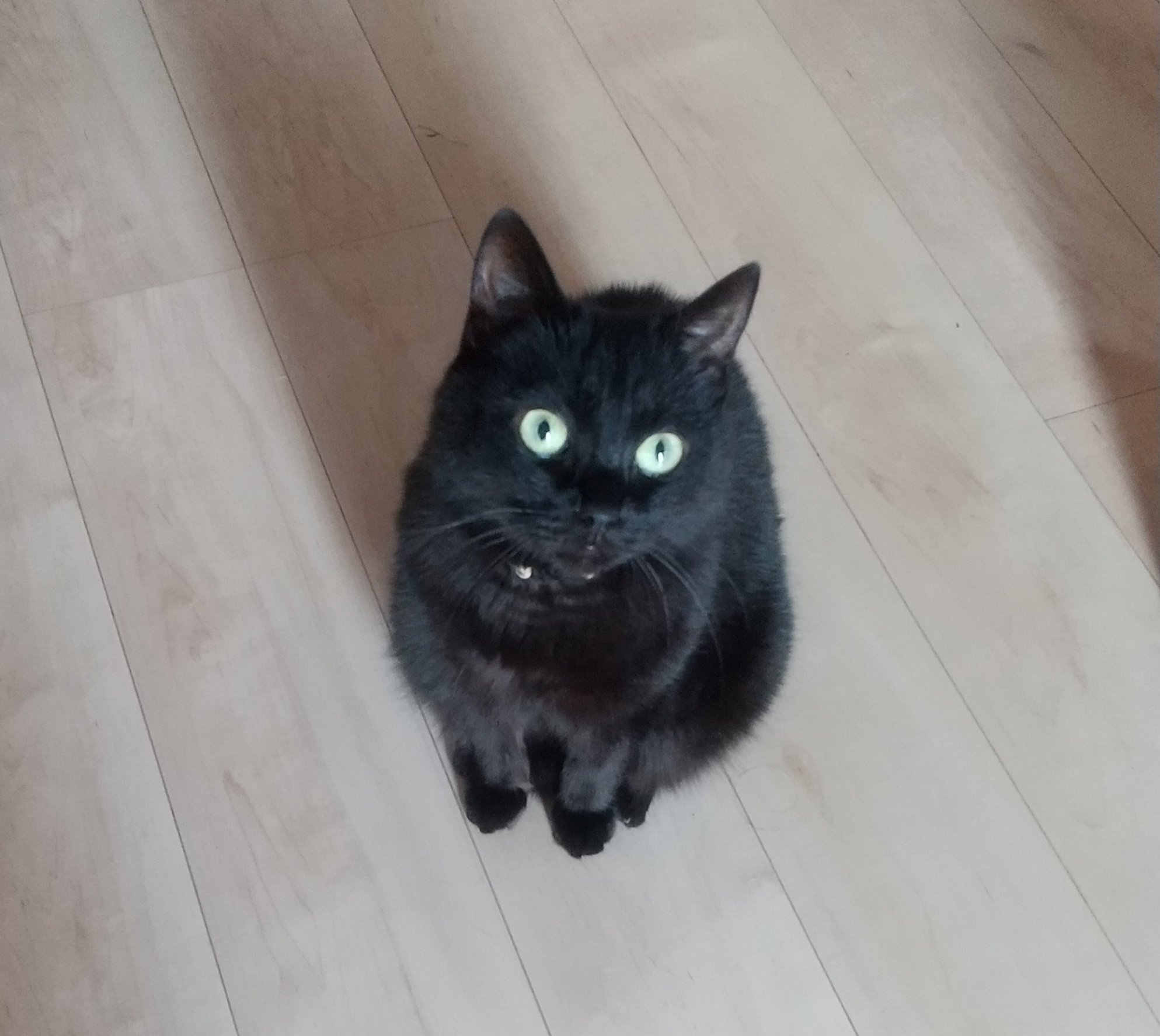 黒猫様♡ありがとうございます♡ なんて格好…笑