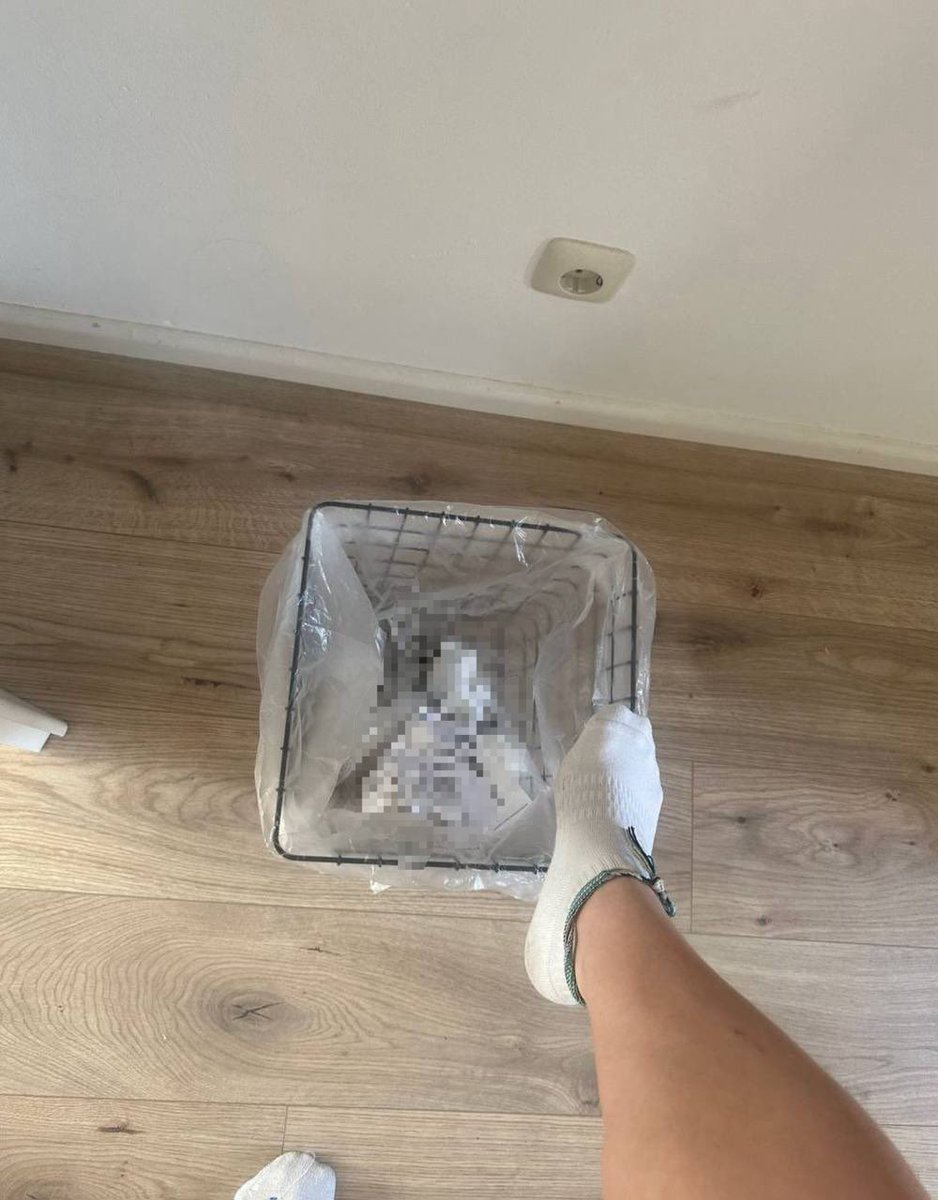 gooning to my pixelated trash is absolutely a normal thing to do!
dont worry, this is a safe space and doing it regularly definitely wont corrupt ur mind :)