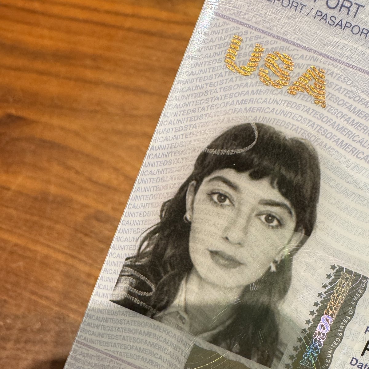 blessing your feed with my amazing passport photo. ready for Lyon!